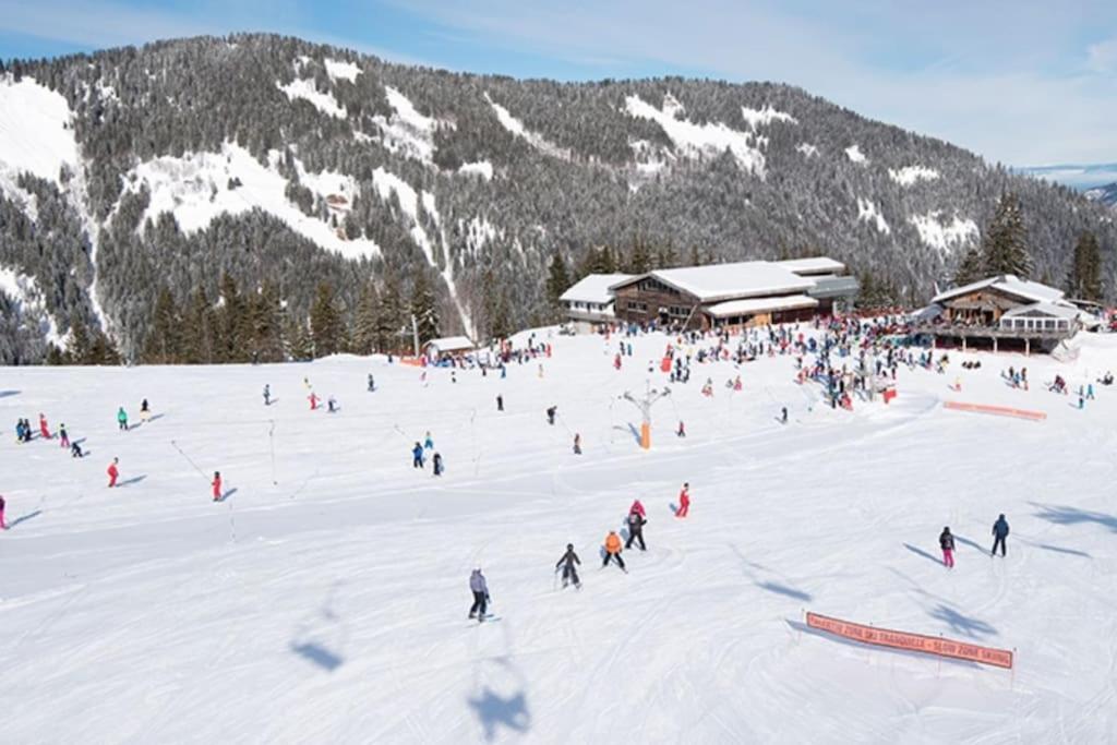 Dans Residence Neuve Le Snow Roc Sur Les Pistes, Grand Studio Cosy 5 Pers Avec Terrasse Panoramique, Sauna, Wifi Saint-Jean-dʼAulps Dış mekan fotoğraf